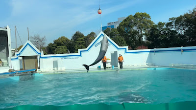 Dolphin and Sea Lion Stadium 사진 2