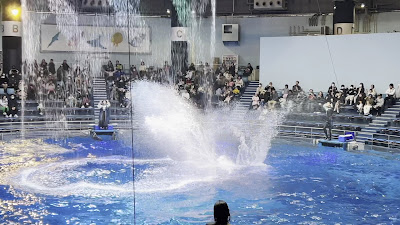 ザ スタジアム 사진 2