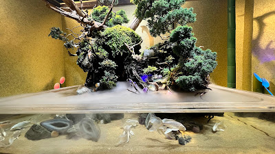 UWS Aquarium GA☆KYO 사진 3