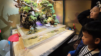 UWS Aquarium GA☆KYO 사진 2