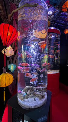 UWS Aquarium GA☆KYO 사진 5