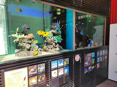 パラオ水族館認定 アクアリウム 사진 2