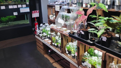 Paupau Aqua Garden Ginza 사진 2