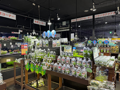 Paupau Aqua Garden Ginza 사진 5