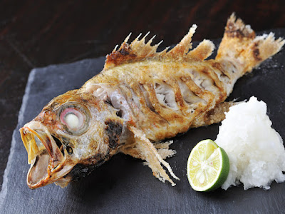 칸아가리 사진 4
