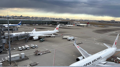 TIAT 라운지 (하네다공항 제3터미널) 사진 4