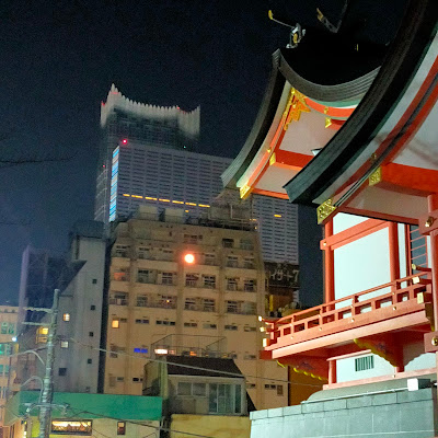 드래곤 아이 사진 3