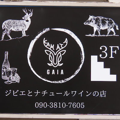 GAIA 사진 5