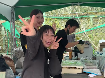 camalice 사진 2