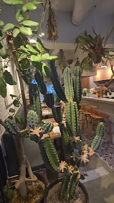 Daikanyama CASA 사진 2