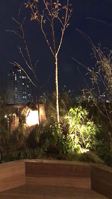 貸切屋上庭園arpeggioSKY品川大井町 사진 2