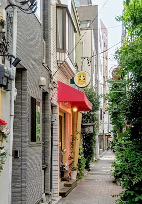 Osteria Ci Vediamo 사진 5