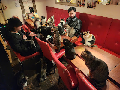 Tom's BAR √2 사진 4