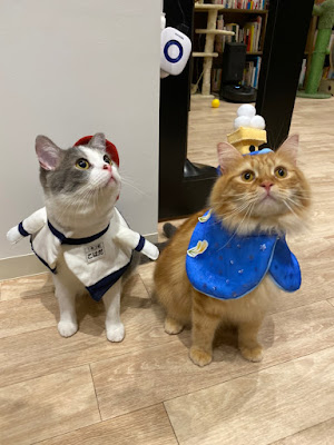 BAKENEKO CAFE 化猫茶屋 사진 4