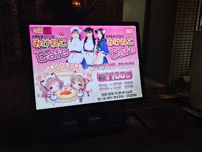 Mikeneko Cafe Akihabara (Cafe & Bar) 사진 3