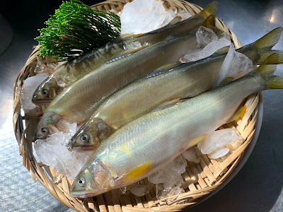 anocado restaurante+ 사진 4