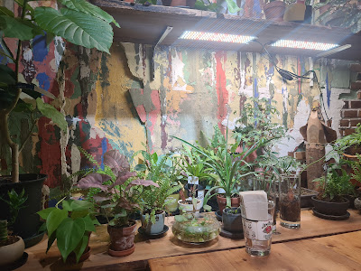 AWESOME PLANTS cafe & bar 사진 3