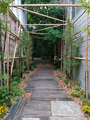 BAR 山猫軒 사진 3