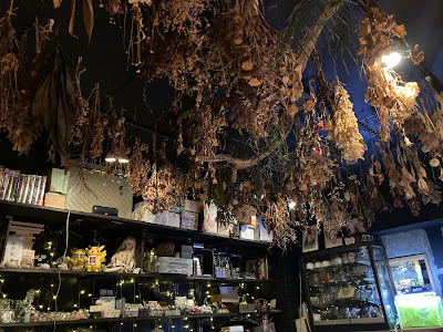 喫茶 通過 사진 4