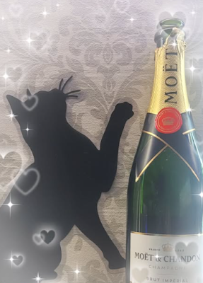 morning pub 黒猫 사진 3