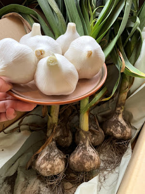 Garlic Garlic 사진 3