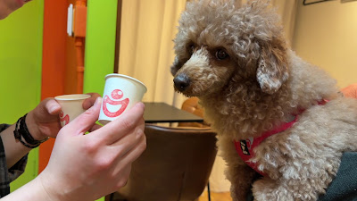 ピエロコーヒー PIERROT COFFEE 사진 2