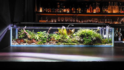 Bar Aqua Cave 사진 3