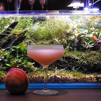 Bar Aqua Cave 사진 5