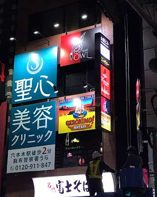 Bar owl 사진 4