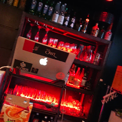 Bar owl 사진 3