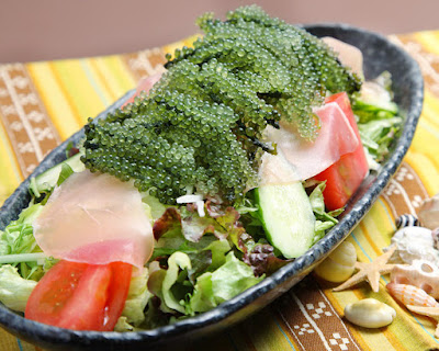 何やってるBAR 사진 5