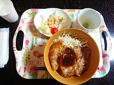 PLAT 사진 3