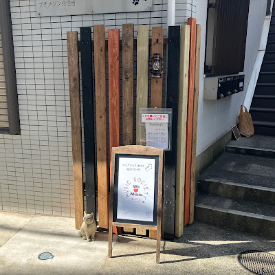 キルクス_2022 사진 2