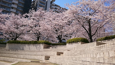 東京サーハウス コモンハウス 사진 3