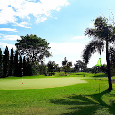GOLF JAPAN 사진 3