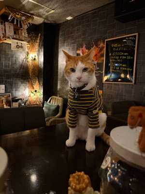 ショットバー ピノ 사진 5