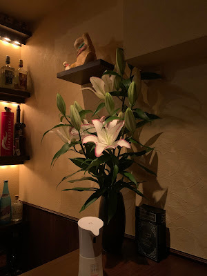 BAR PERLA 사진 4