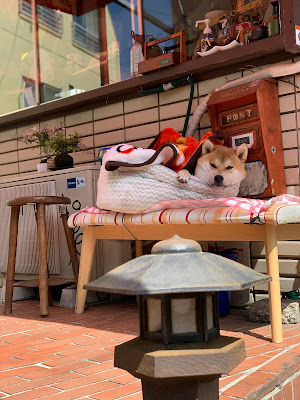 下北堂 사진 2