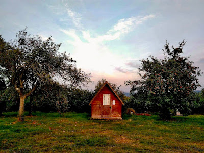ĆIDER SHACK 사진 4