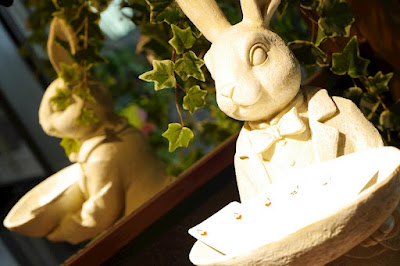 Girl'sBar Alice 사진 3