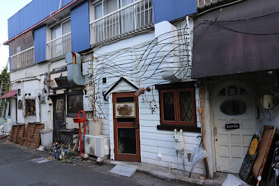 電気クラゲ 사진 3