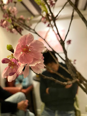 Bar Lei 사진 3