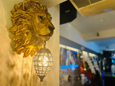 Lion 사진 5