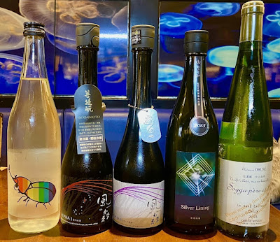 焼酎bar海月kurage 사진 4