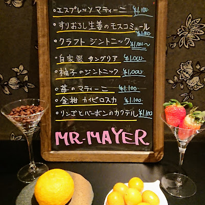 MR.MAYER 사진 5