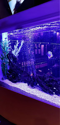 Club mimi 사진 3