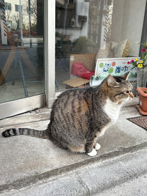 談話室 9292 ショットバー 사진 3