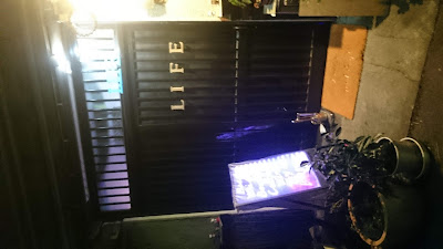라이프 사진 2