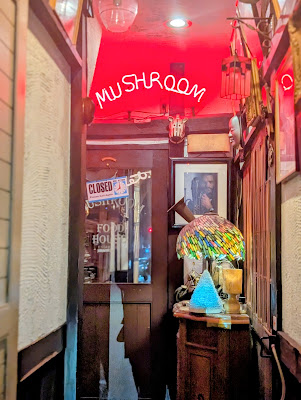Mushroom 사진 2