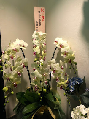 華 사진 4